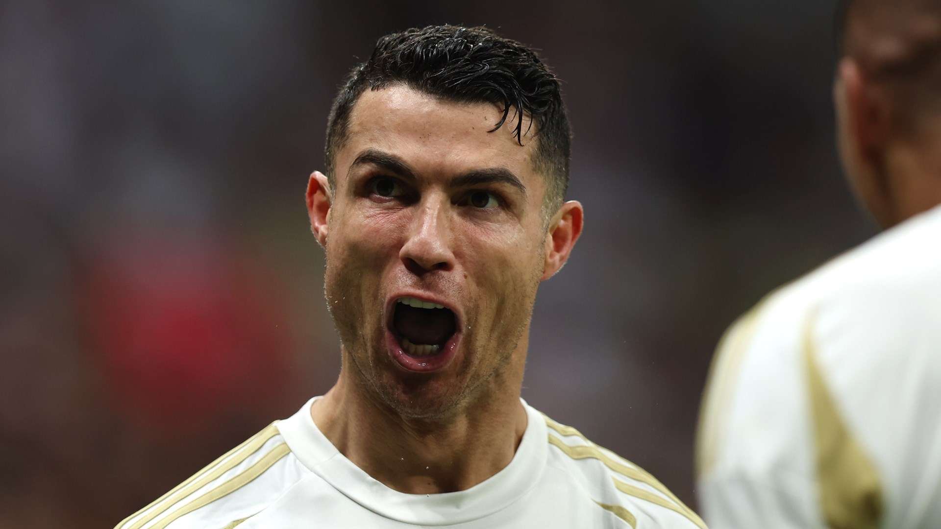 葡萄牙队 葡萄牙队